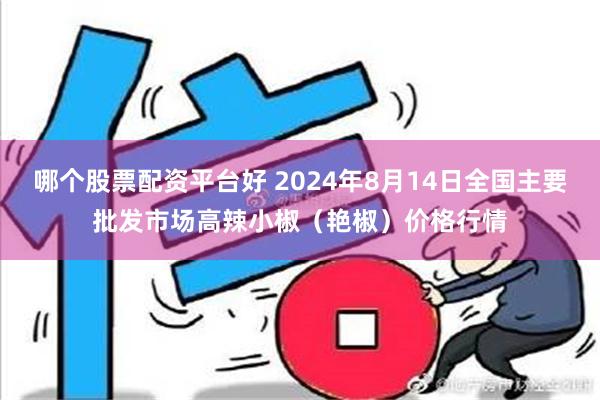 哪个股票配资平台好 2024年8月14日全国主要批发市场高辣小椒（艳椒）价格行情