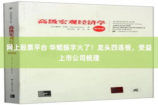 网上股票平台 华鲲振宇火了！龙头四连板，受益上市公司梳理