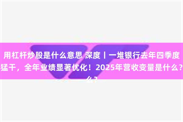 用杠杆炒股是什么意思 深度丨一堆银行去年四季度猛干，全年业绩显著优化！2025年营收变量是什么？